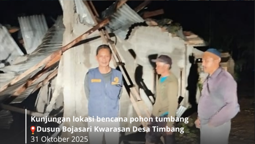 bencana-pohon-tumbang-di-dusun-bojasari-kwarasan-desa-timbang